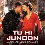 Tu Hi Junoon - Ultimate Love Ballads - Amit Chaudhary Song Download